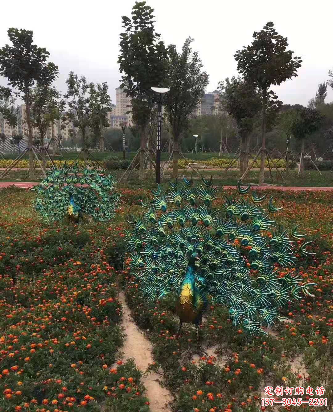 泸州不锈钢彩绘孔雀雕塑