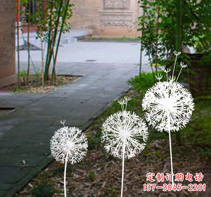 泸州不锈钢蒲公英点亮城市之美
