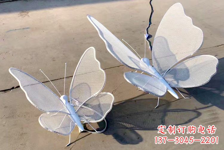 泸州不锈钢钢丝网格蝴蝶雕塑——灯光下的灵动之美