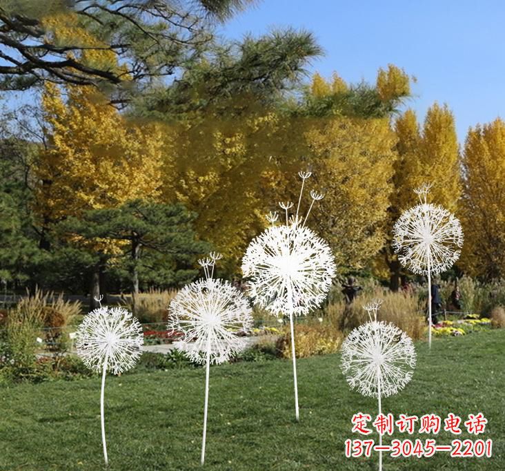 泸州不锈钢蒲公英景观雕塑艺术与美的完美结合