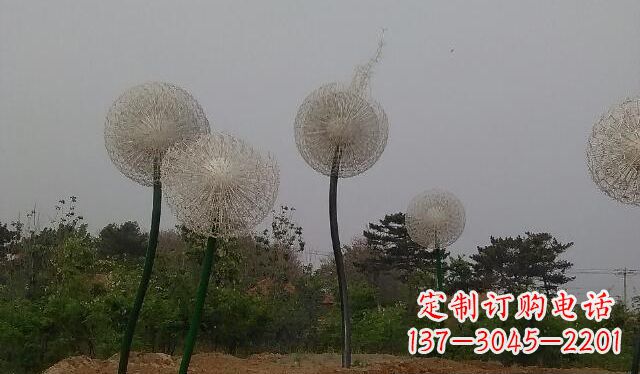泸州蒲公英的绚丽多彩