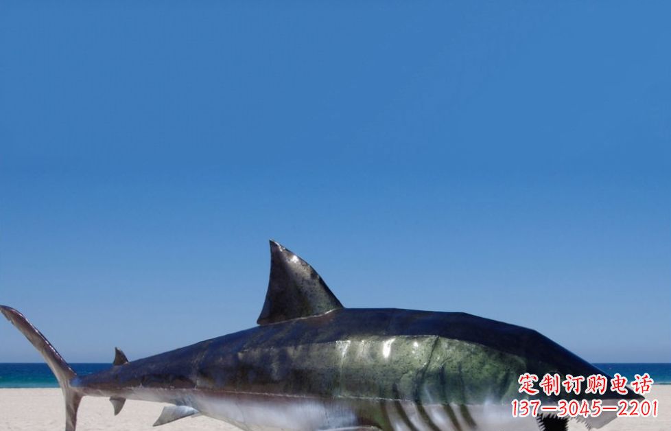 泸州海洋生物之美——不锈钢鲨鱼雕塑