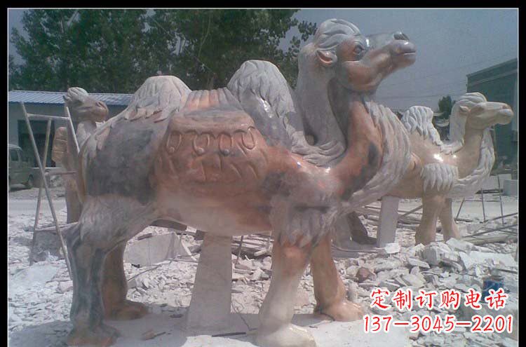 泸州公园动物骆驼石雕222