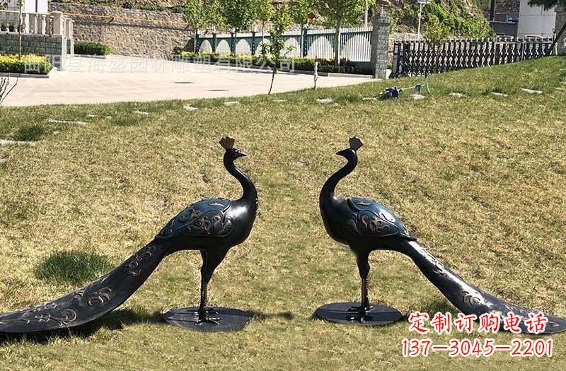 泸州公园青铜孔雀雕塑