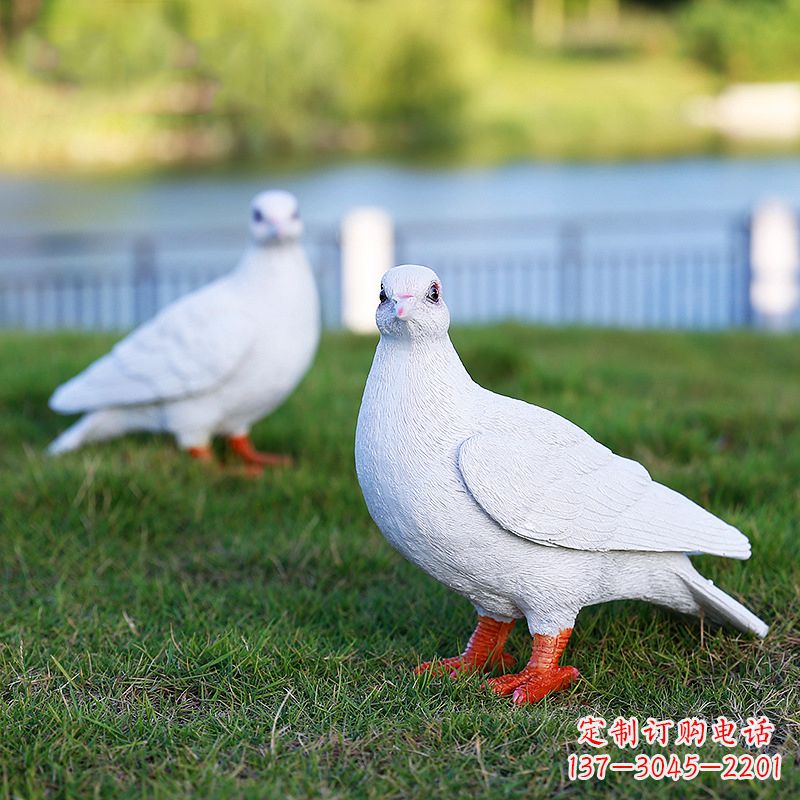 泸州新型和平鸽雕塑,让爱与和平传递