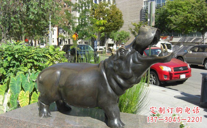 泸州精美细腻的街边河马铜雕