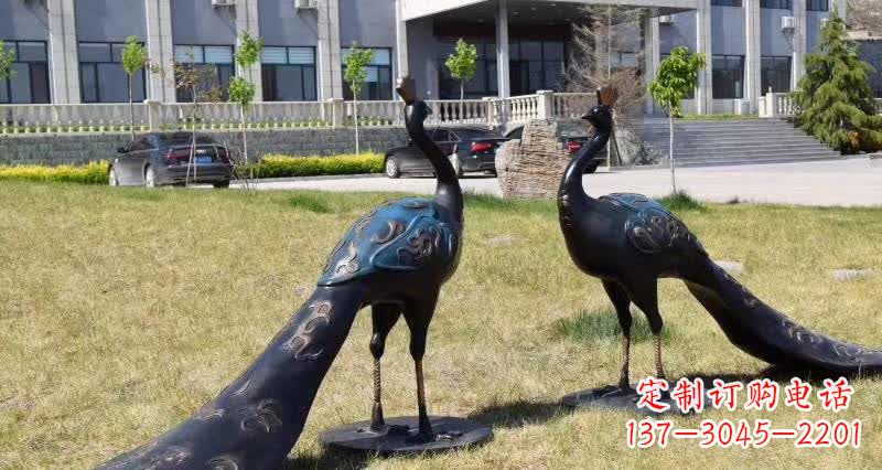 泸州领雕塑-孔雀铜雕,高雅精美的艺术精品