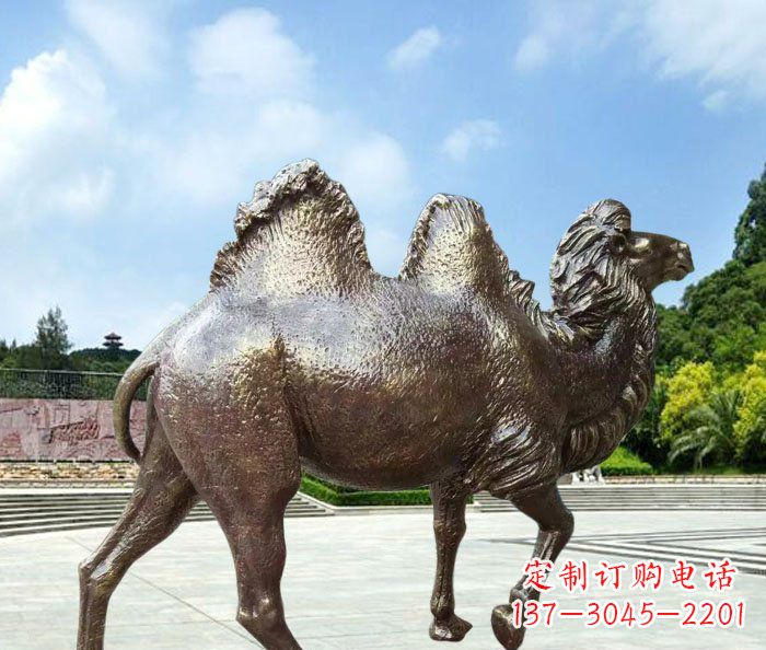 泸州骆驼动物铜雕 (2)