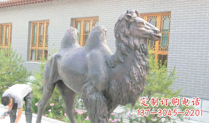 泸州精美的骆驼铜雕,提升您的公园气质