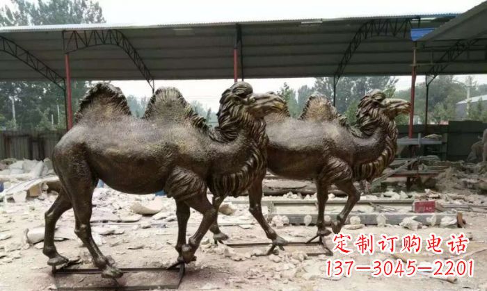 泸州典雅优美的骆驼铜雕