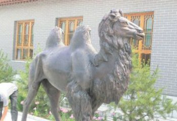 泸州精美的骆驼铜雕，提升您的公园气质