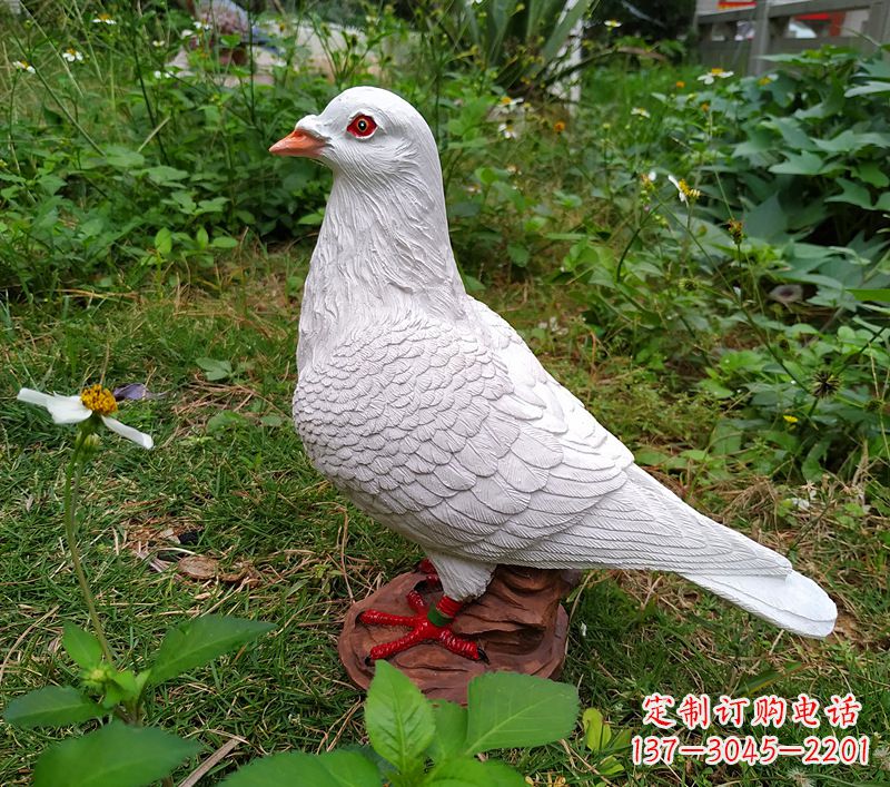 泸州为和平献芳礼：精美少女与和平鸽雕塑