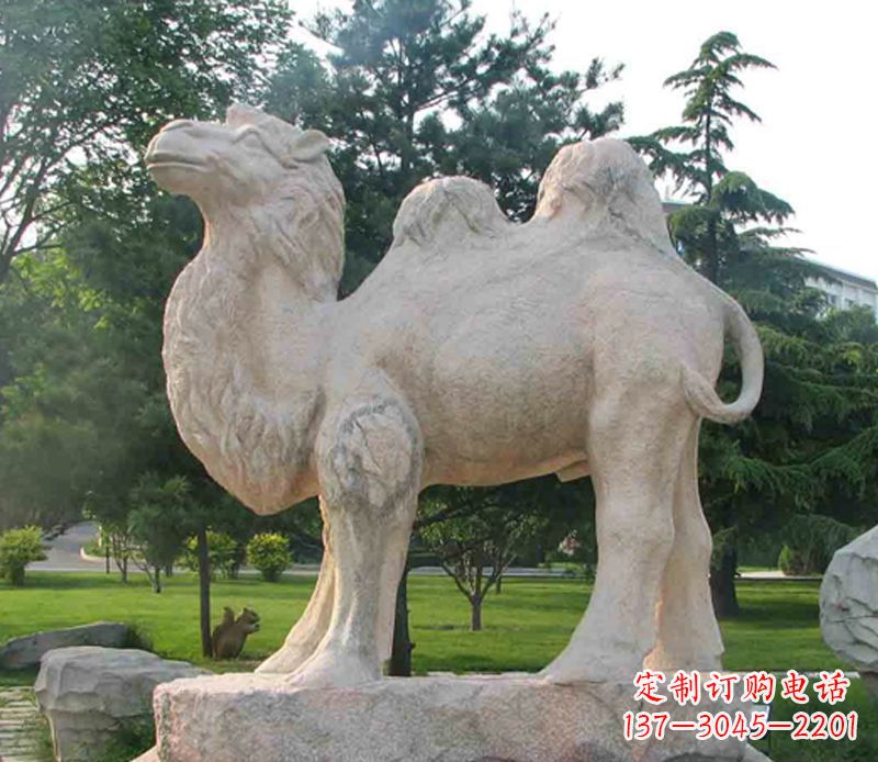 泸州石头骆驼雕塑