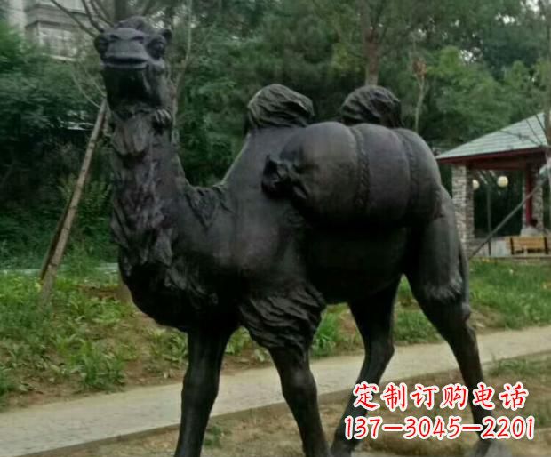 泸州驮行李的骆驼铜雕