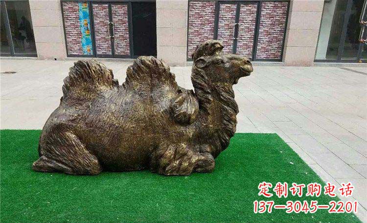 泸州卧着的骆驼动物铜雕