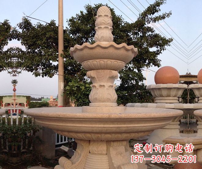 泸州小区景观大型喷泉石雕 (4)